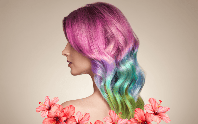 Read more about the article Hair Repair and Regeneration: How can we regenerate our hair after summer?